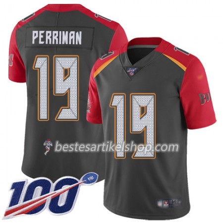 Herren Tampa Bay Buccaneers Trikot Breshad Perriman 19 Nike Grå 100th
